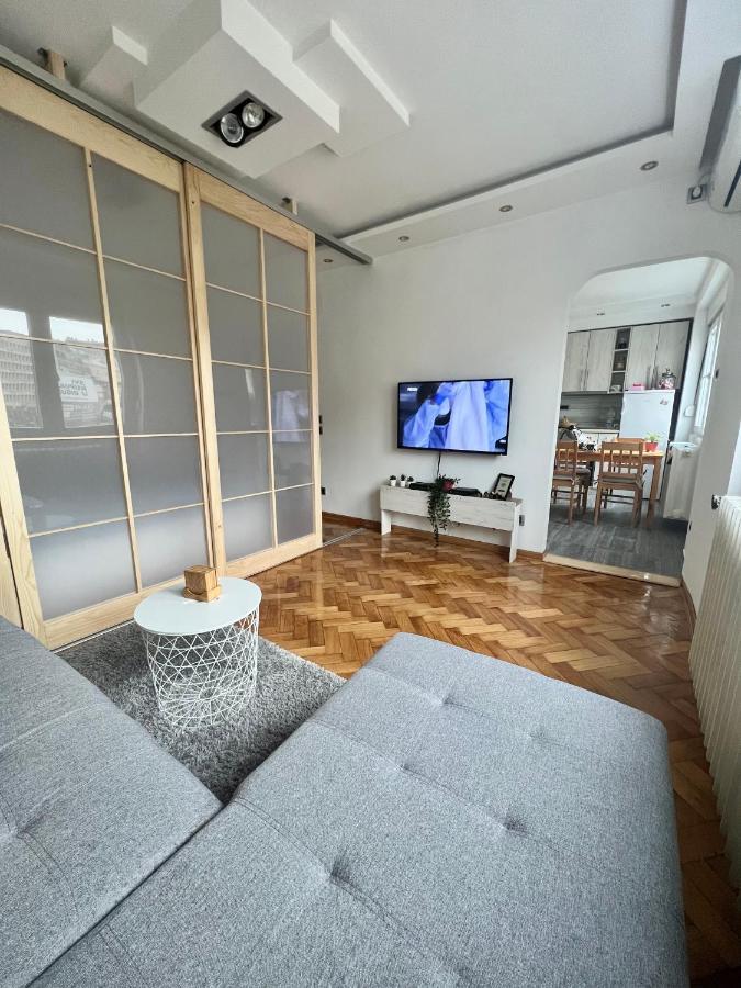 Comfortable Apartment In City Hub เบลเกรด ภายนอก รูปภาพ