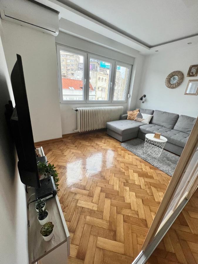 Comfortable Apartment In City Hub เบลเกรด ภายนอก รูปภาพ